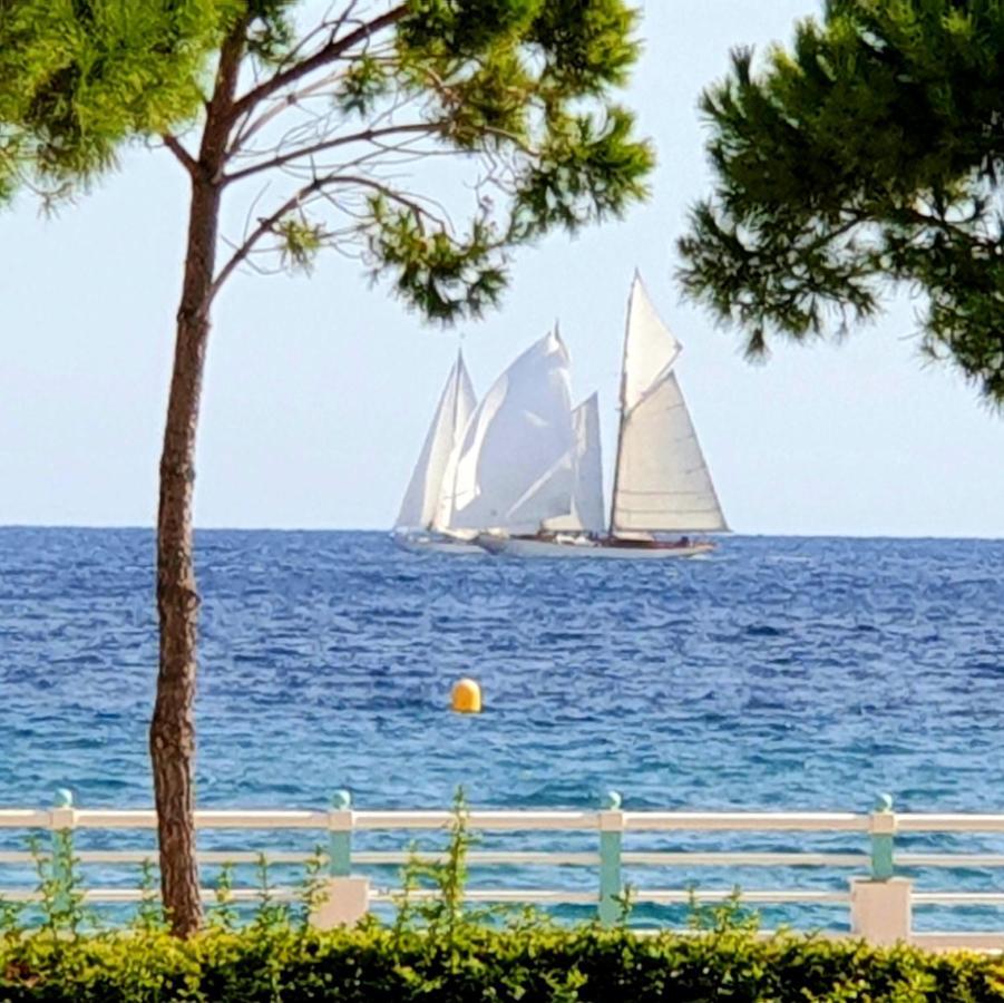 Garden And Beach Sea View Apartment Cannes Dış mekan fotoğraf